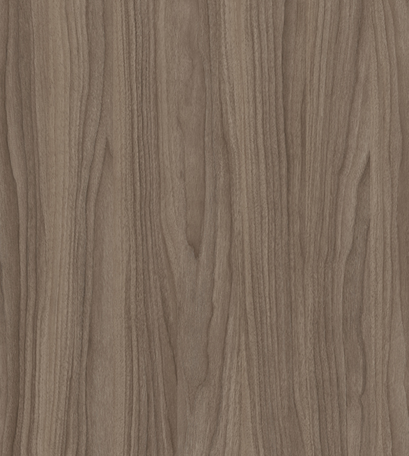 Vangaurd Noce Grigio